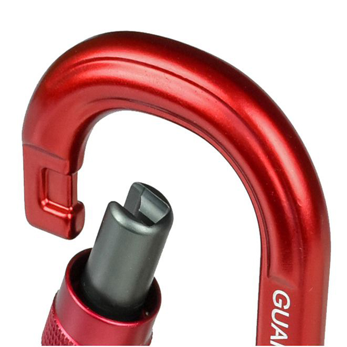 کارابین پیچ  ادلوایز مدل Guard-O
